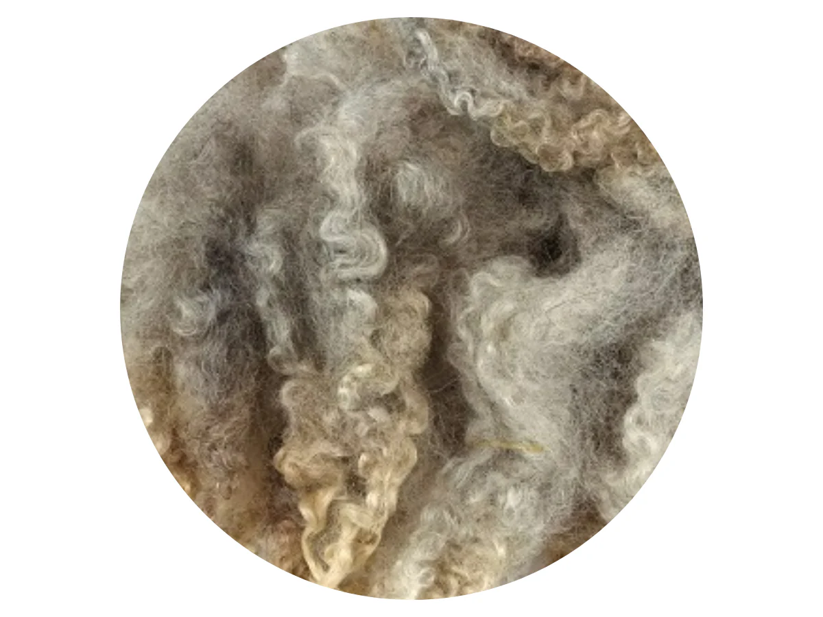 Bluefaced Leicester Curls - dark brown and light brown small curls 12g - Image 3