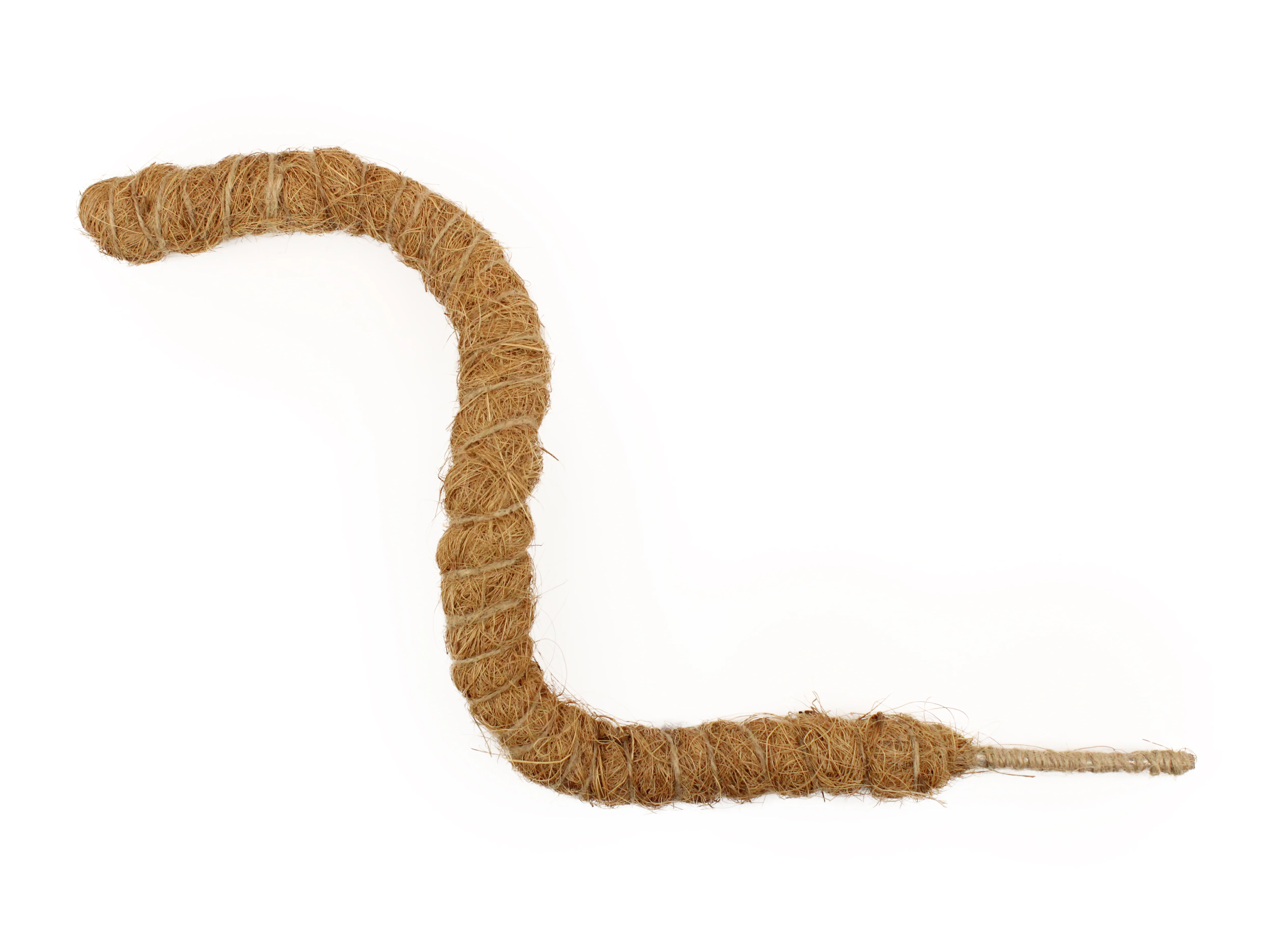 Coconut Palm Pose-able Sticks In Various Lengths - Image 2