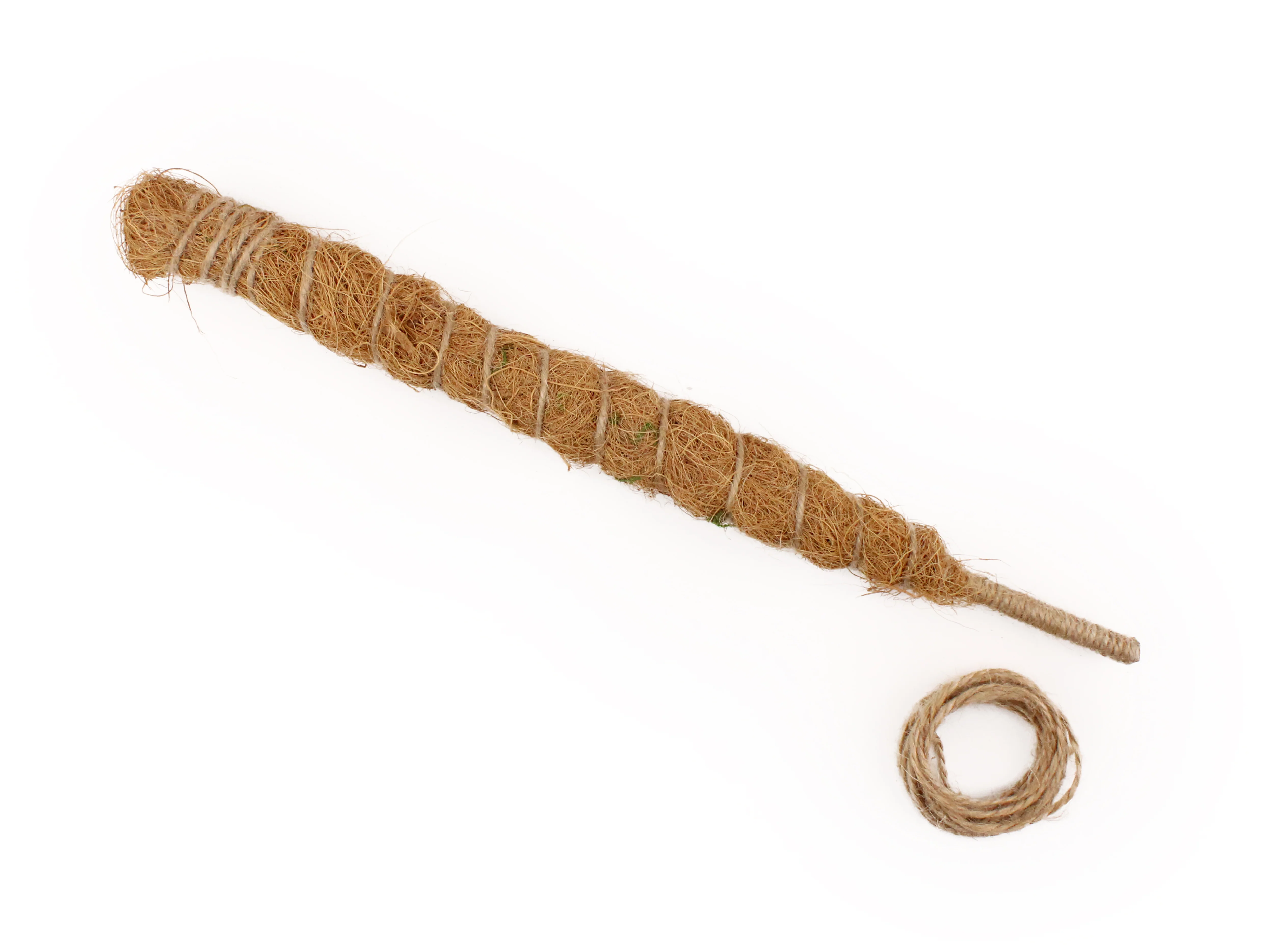 Coconut Palm Pose-able Sticks In Various Lengths - Image 3