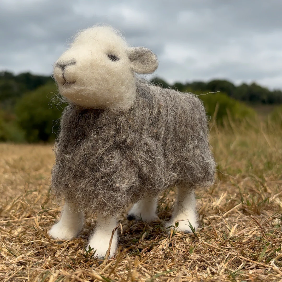 Herdwick Sheep Step-By-Step Video Tutorial and PDF Instructions - Image 2