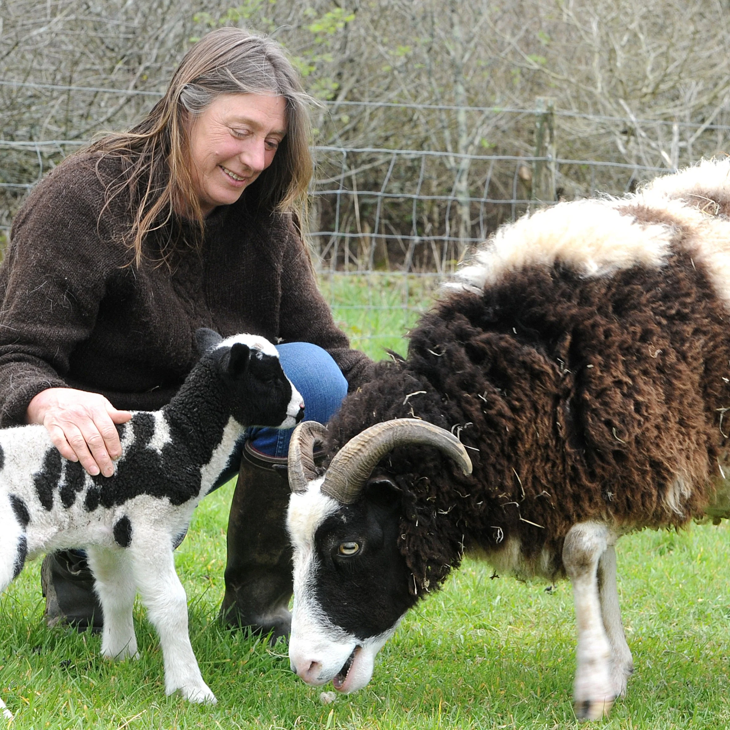 Jacob Sheep British Wool Small Kit - Image 6