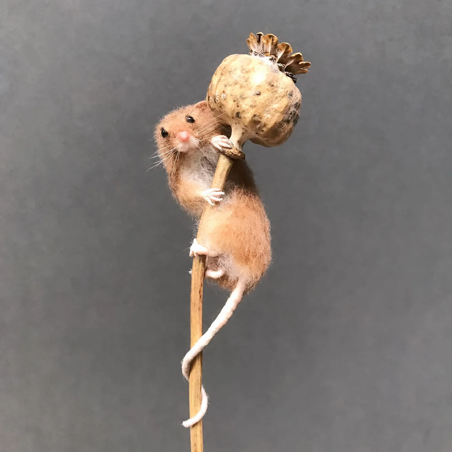 Makerss Masterclass - Harvest Mouse with Agnese Davies - Image 3