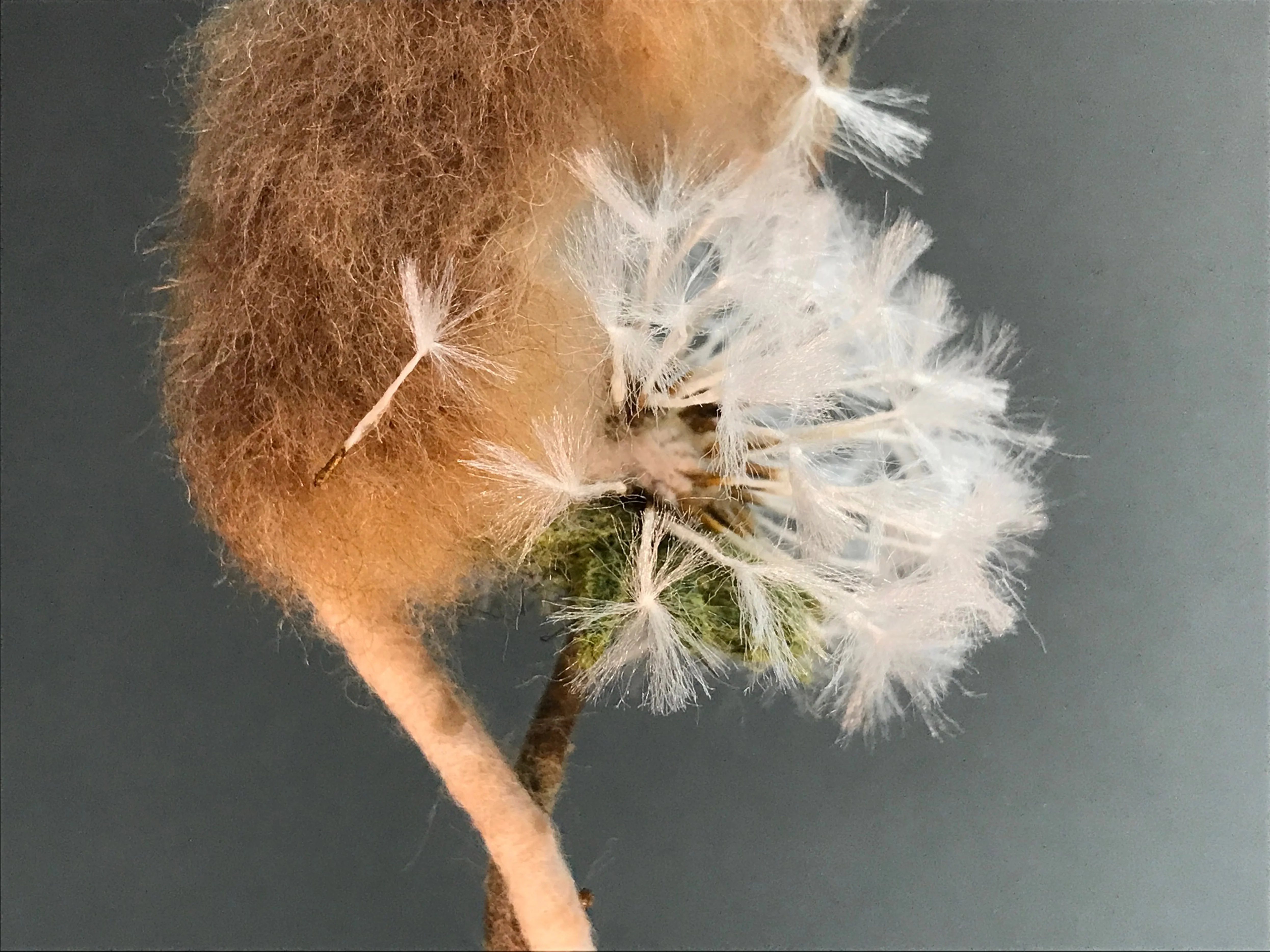 Makerss Masterclass - Harvest Mouse with Agnese Davies - Image 6