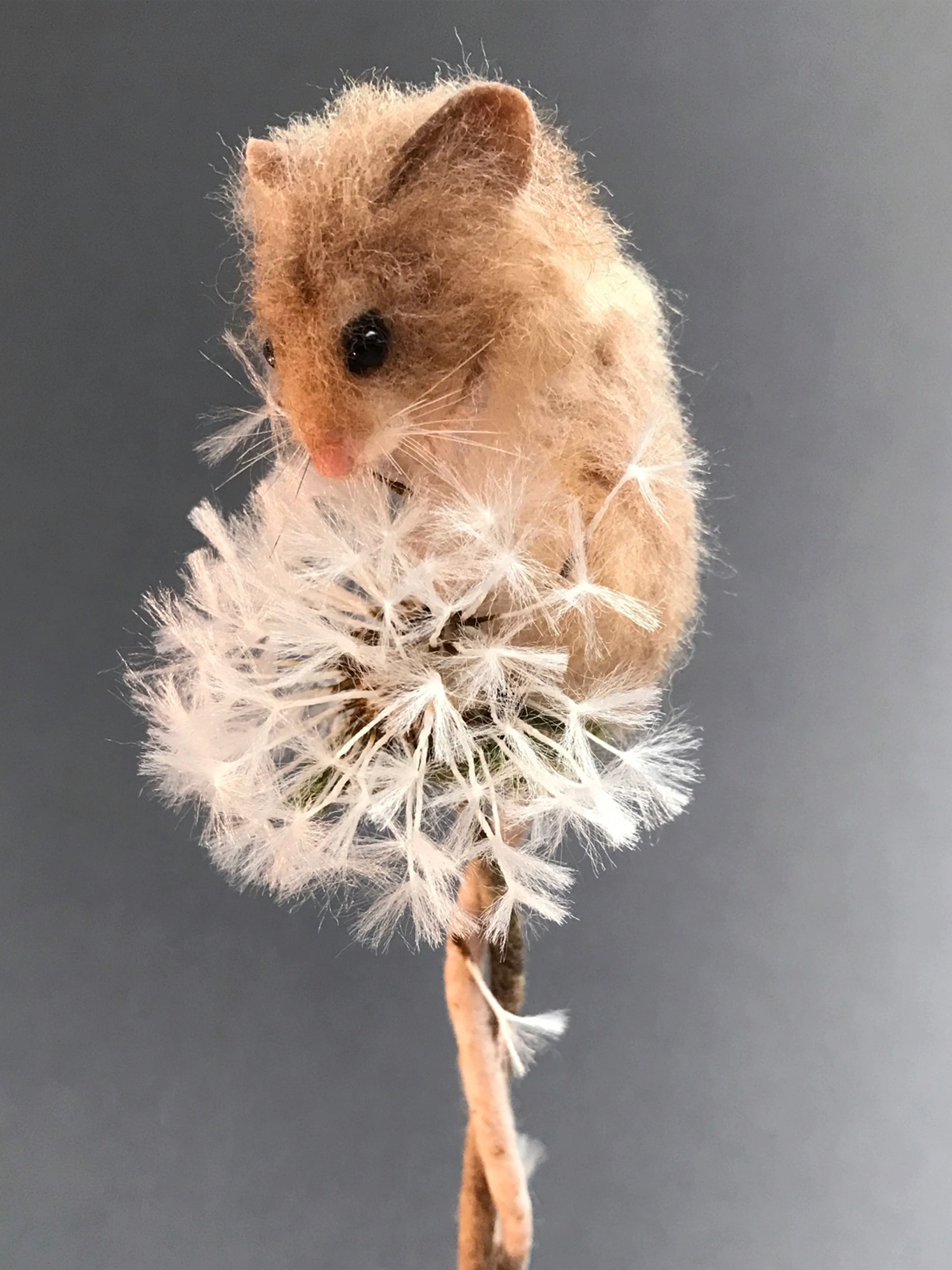 Makerss Masterclass - Harvest Mouse with Agnese Davies - Image 9