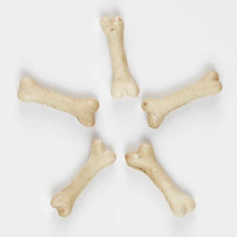 Miniature Bones for Needle Felted Characters