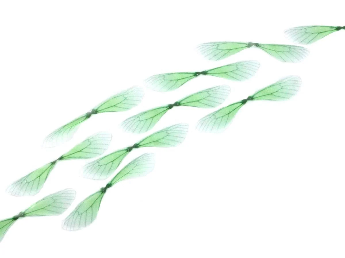 Organza Wings - Image 5