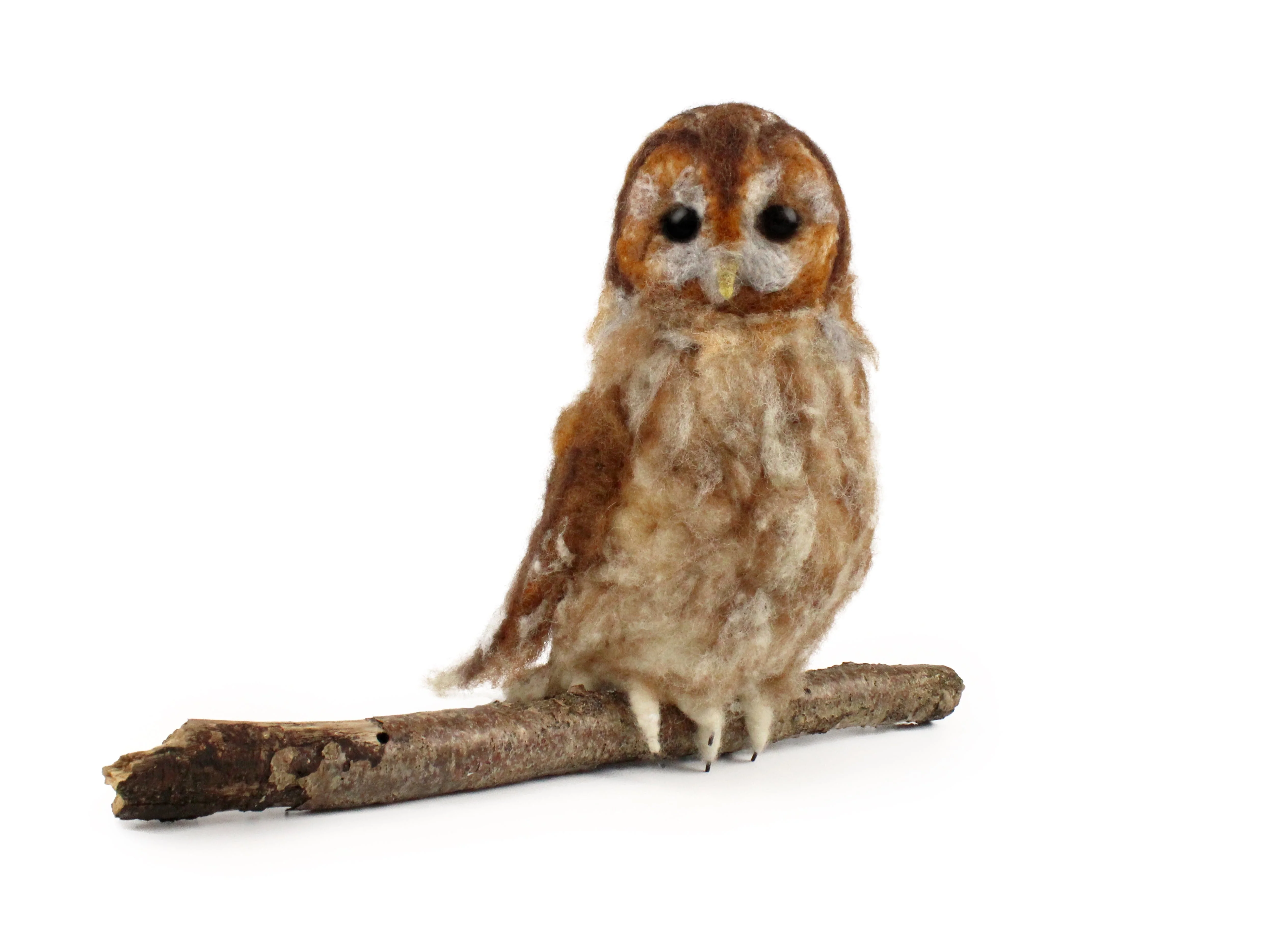 Tawny Owl Needle Felt Pack - Image 4