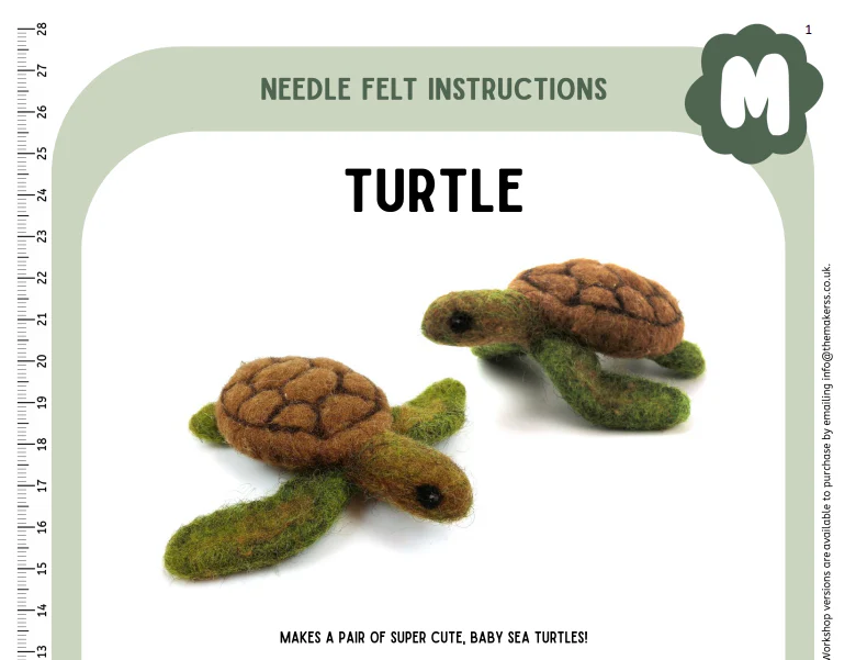 Turtle Instructions PDF updated 2024