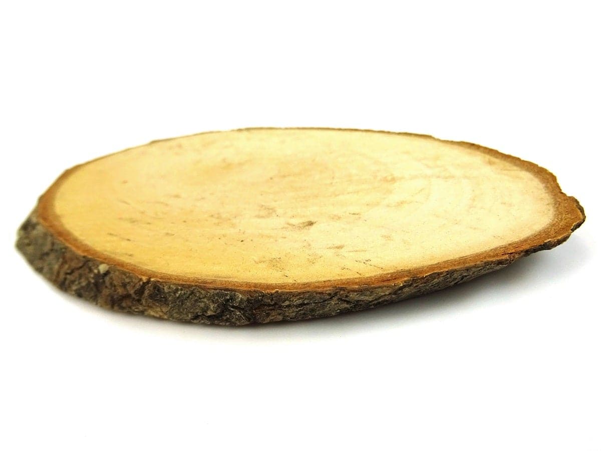 Wood Base / Slice - 3 sizes available - Image 3