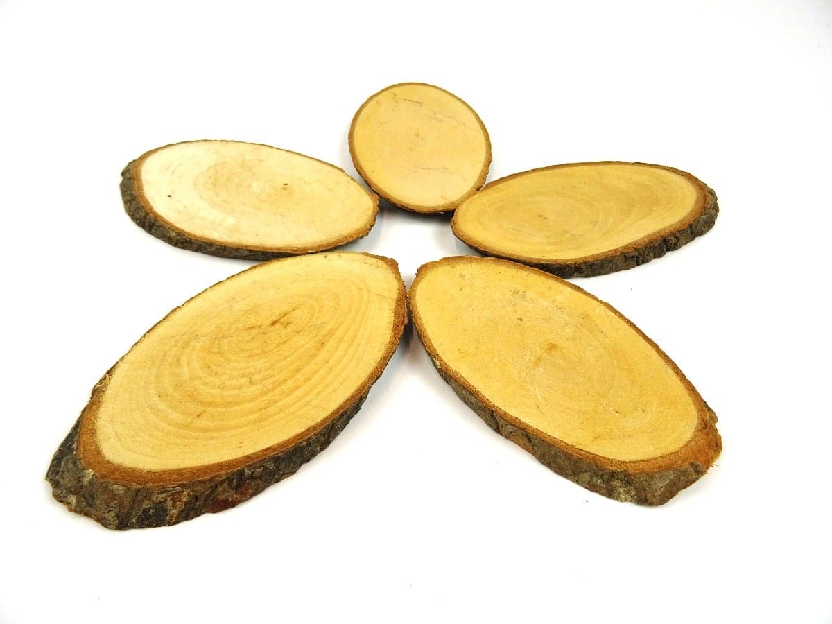 Wood Base / Slice - 3 sizes available - Image 6