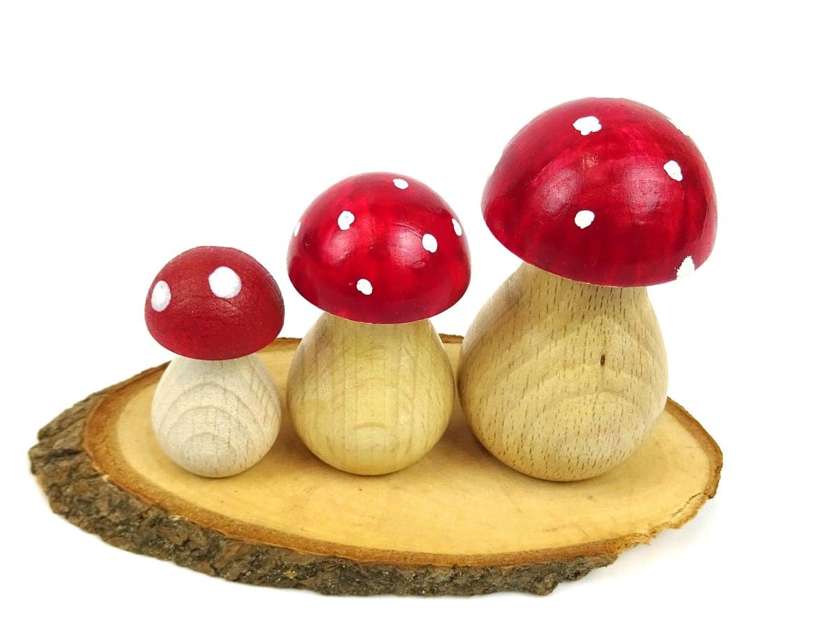 Wood Base / Slice - 3 sizes available - Image 9